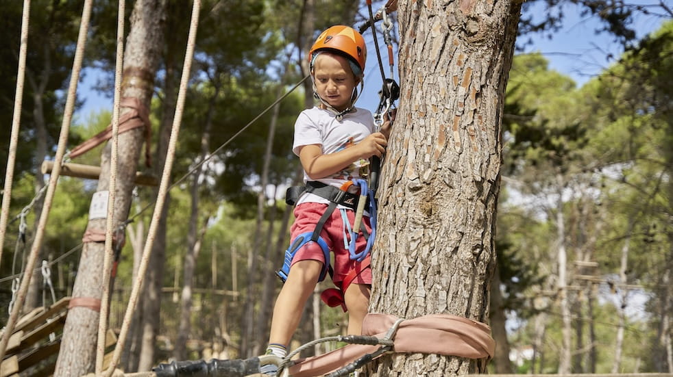 Little boy on a tree doing multi adventure in a forest